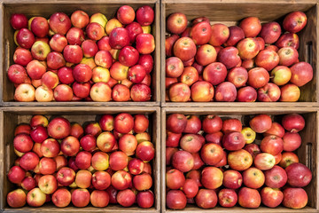 baskets with sweet red and yellow apples in the mall