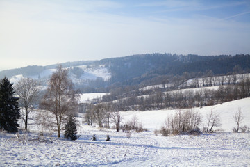 view of the forest and mountains covered with snow in winter
