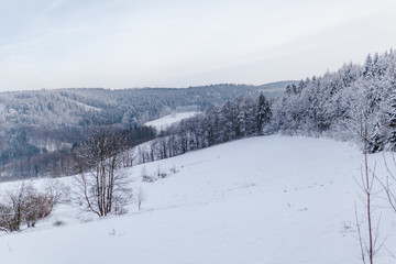view of the forest and mountains covered with snow in winter