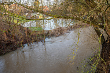 meadow bottom is flooded by water from a river after heavy rainfall