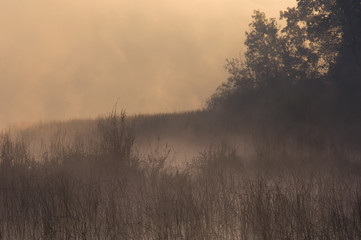 Fototapeta na wymiar Landscape of autumn marsh at sunrise, East Three Lakes, Michigan, USA