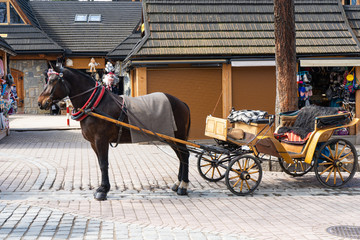 A beautiful horse harnessed to a cart for walking stands in front of the mini market. Poland,...