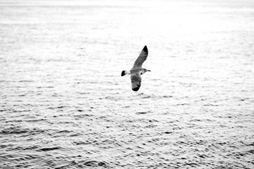 By the Docks, Lysaker, Oslo, Norway