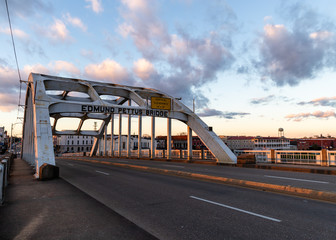 Edmund Pettus at Selma
