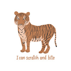 Cartoon tiger with slogan I can scratch and bite. Childish tee shirt design.