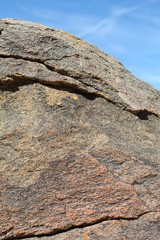 Rocks provide several important ecological roles in the Southern Mojave Desert of Joshua Tree National Park, including temperature regulation and shelter.