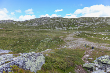 tourists hiking in mountains with backpack adventure healthy lifestyle outdoor summer activity trekking weekend getaway forest trail