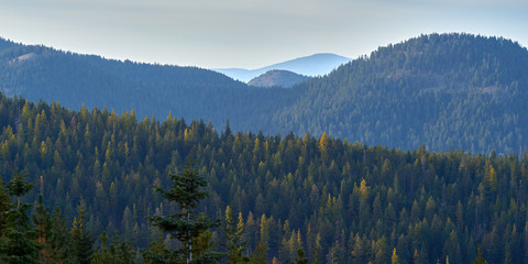 Evening panoramic view over the wooded mountains in Oregon.