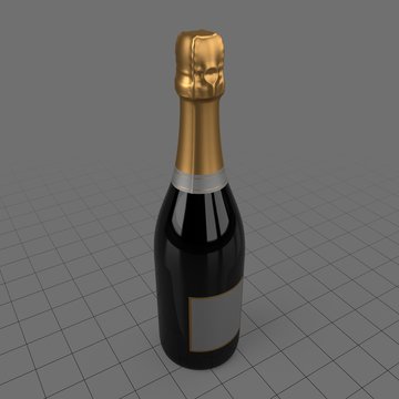Champagne bottle 1
