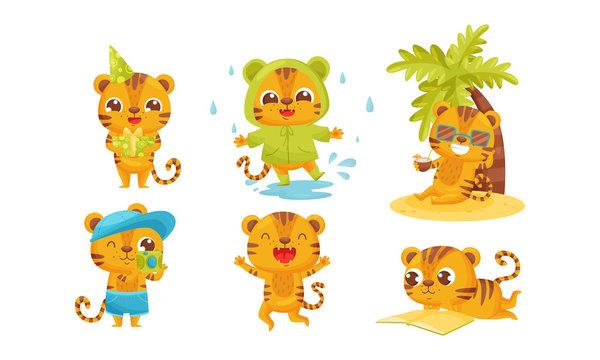 Cartoon Tiger Cub Walking in Rainy Day and Sitting Under Palm Tree Drinking Cocktail Vector Set