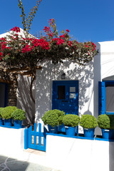 A typical, traditional village house on the charming Greek island of Folegandros. Authentic design with colorful bougainvillea around the gate.