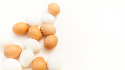 white and brown chicken eggs on white background with plenty of space, copy space, laboratory for health and control, biological, hygienic examination cut out