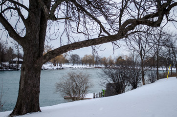 Fototapeta premium winter in the park