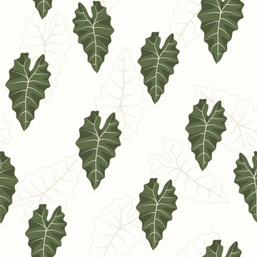 Tropical leaf pattern