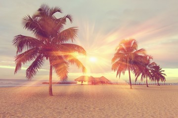 Colorful sunrise and huge palm trees on the beach in the Dominican Republic