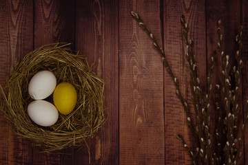 Easter eggs in the nest, pussy willow branches on wooden background, wide format, top view, copy space