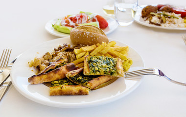 Traditional Turkish Food with Whole Grain Bread ,Salad and French Fries 
