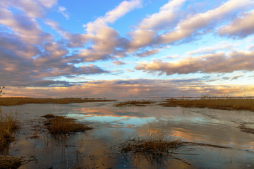 There is a panorama of lake Peipus at sunset in the spring. The shores of the lake are overgrown with reeds. Pskov region, Russia.