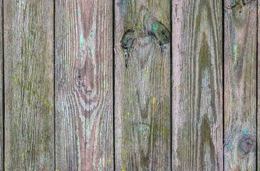 Background, a wooden fence nailed from boards.