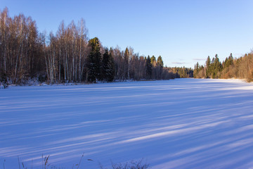 Tall forest trees on the banks of a frozen snow-covered river. Winter sunny landscape. Reflection of trees in the snow..