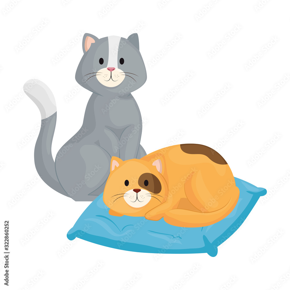 Poster cute little cats with cushion isolated icon