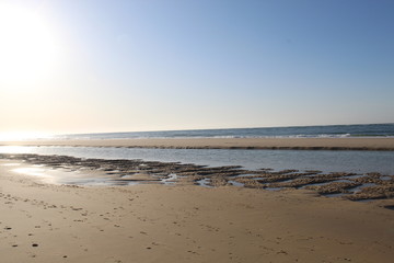 Plage Lagune - Bassin Arcachon