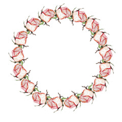 frame wreath of flowers roses buds petals and leaves flowers bloom flora spring summer holidays March 8 congratulations on a white background separately watercolor hand-drawn