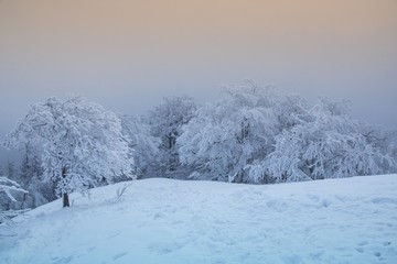  winter fairy tale in the Lusatian mountains