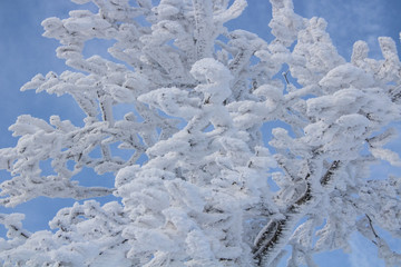  winter fairy tale in the Lusatian mountains