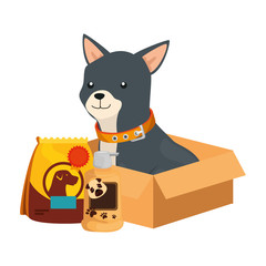 cute dog with bag food and icons