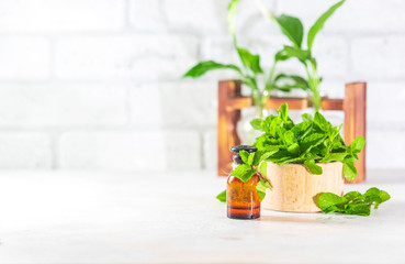 Oil of peppermint in small bottles, fresh green mint on white background. Selective focus, copy space