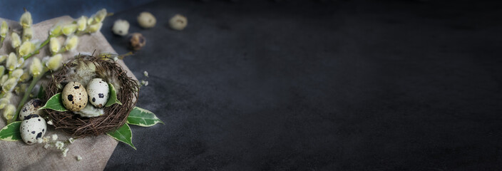 Happy Easter.Quail eggs in a nest on a dark stone background with green leaves and willow branches.Banner, Billboard or greeting card.Easter sale in the store.minimalism.Zero Waste.copyspace.Mock up