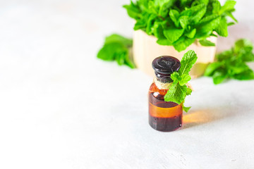 Oil of peppermint in small bottles, fresh green mint on white background. Selective focus, copy space