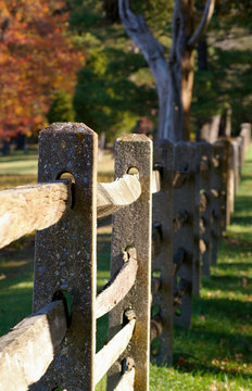 Wood Fenceline