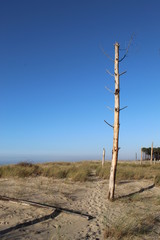 Obraz premium Plage Lagune - Bassin Arcachon