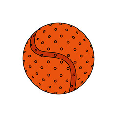 ball of game isolated icon