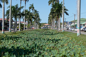 Canal de Nieuw Nickerie ville frontière avec le Guyana au Suriname