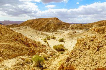 Landscape of Makhtesh (crater) Ramon (from mount Ardon)