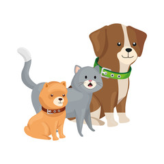 cute cat and dogs animals isolated icon