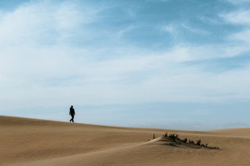 Fototapeta na wymiar walking alone desert