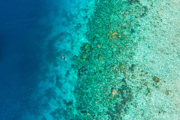 Aerial of snorkelers on a coral reef in Indonesia