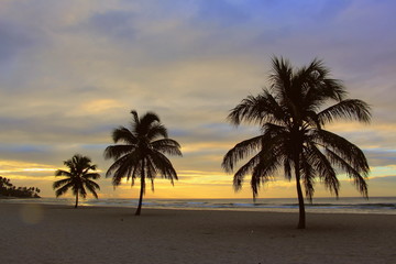 Obraz na płótnie Canvas Colorful sunrise and huge palm trees on the beach in the Dominican Republic