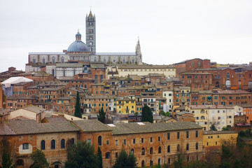 Fototapeta premium View of the city of Siena on a cloudy day..Roofs, characteristic houses and the Cathedral.