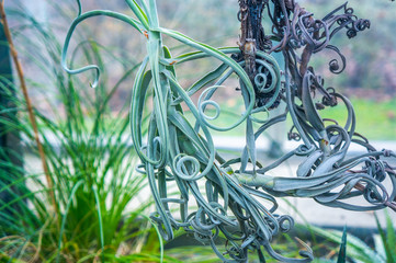 Curly mint green 