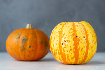 Trendy ugly organic small pumpkin on light grey stone background. Ugly food concept. Strange pumpkins.