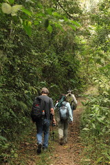 Fototapeta na wymiar backpackers walking along nature trail in the high jungle rainforest, Venezuela. Conservation and ecotourism concept