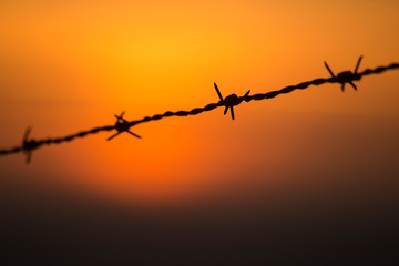 barbed wire in the light of a sunset