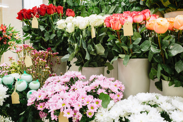 In The Florist Shop. Many flowering plants, nature floral background. Sale flowers in the store.