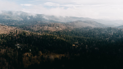 balkan winter forest aerial