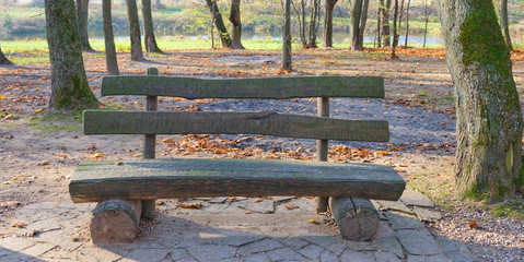 Rough wooden bench in the park among the trees